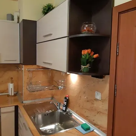 Biju Apartament *